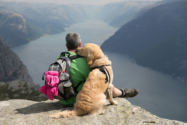 Que llevar en la mochila cuando sales de ruta con tu perro.